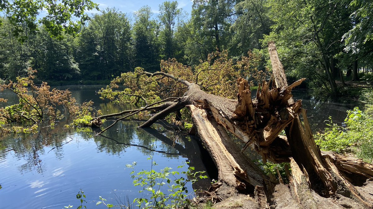 mveldhuis76's tweet photo. Een heerlijke wandeling bij #Biljoen en een randje #Beekhuizen was het… waar erfgoed, water en natuur samenkomt. 

#erfgoed #landgoed #natuur #veluwezoom #grondwater #dprengenbeek https://t.co/9wFHtZZEBt