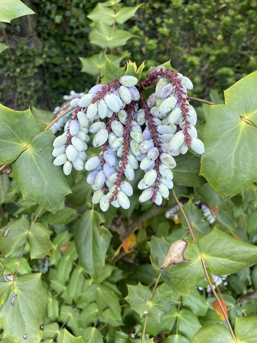 vixens23's tweet photo. Some unedited photos from our day trip to Delaware from yesterday. The Marina Coffin Gardens at Gibraltar was our first stop. we can’t wait to explore more of the haunted and historical parts of Delaware. #delaware #travel #outdoors  #photographers #hauntingaventures #tiktokers https://t.co/hIiSJIvOOJ