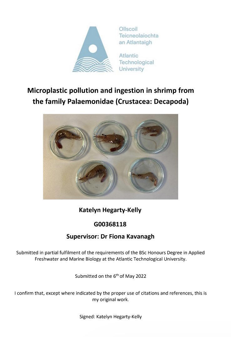 Katelyn (@katelynhk21) on Twitter photo Delighted to have completed my thesis defence yesterday after handing up my paper earlier this month. It was a nice way to finish my 4 years at <a href="/ATU_GalwayCity/">ATU Galway City</a> as I got the opportunity to discuss my research project. Huge thanks to my supervisor Fiona Kavanagh for all her help! Delighted to have completed my thesis defence yesterday after handing up my paper earlier this month. It was a nice way to finish my 4 years at <a href="/ATU_GalwayCity/">ATU Galway City</a> as I got the opportunity to discuss my research project. Huge thanks to my supervisor Fiona Kavanagh for all her help!