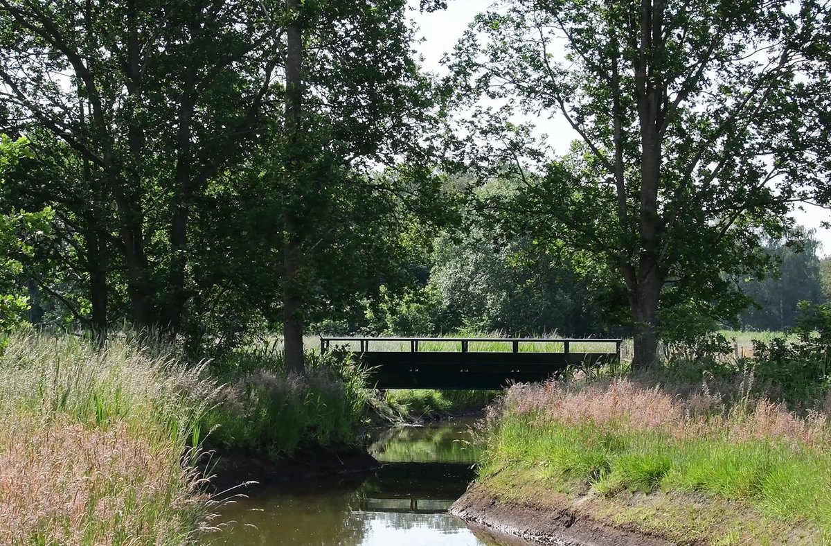 HeijdenJozef's tweet photo. De 2e brug over de #Groote_Beerze tussen #Netersel en #Casteren is geplaatst.
De paden van en naar de bruggen moeten nog wel aangelegd worden, maar de dag nadert dat we van de bruggen gebruik kunnen maken.
@BoswachterFrans @Brab_Landschap @wddommel @v_d_zanden @Eelerwoude https://t.co/NvG8bqUdVw