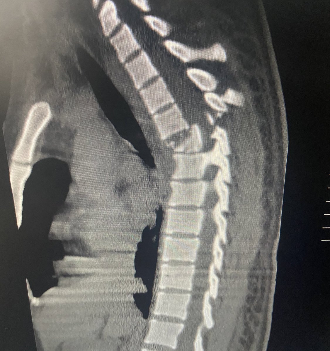 Que si alguien quiere una moto de navidad…