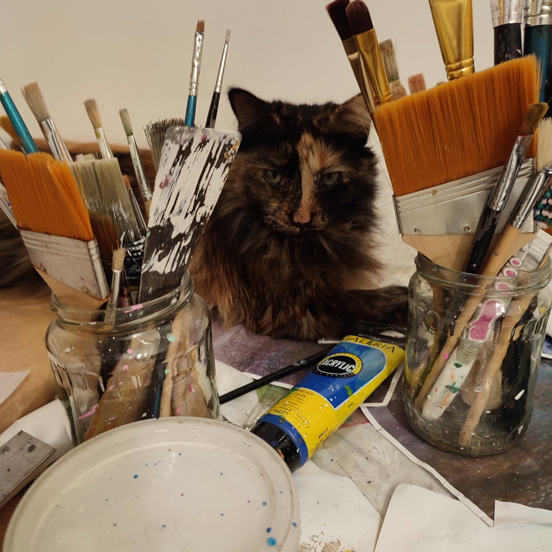 dorastorkart's tweet photo. Good morning friends 🌞☕️
My little assistant will help you with everything 😂
#catassistant #cat #kitten https://t.co/pSm9caOx2J