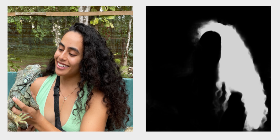 kat_alo's tweet photo. Aside: seeing screenshots of folks using the hair detection tool has absolutely made my day, so for now I will be accepting feedback on the piece exclusively in that format :) https://t.co/cDpmNCIW14