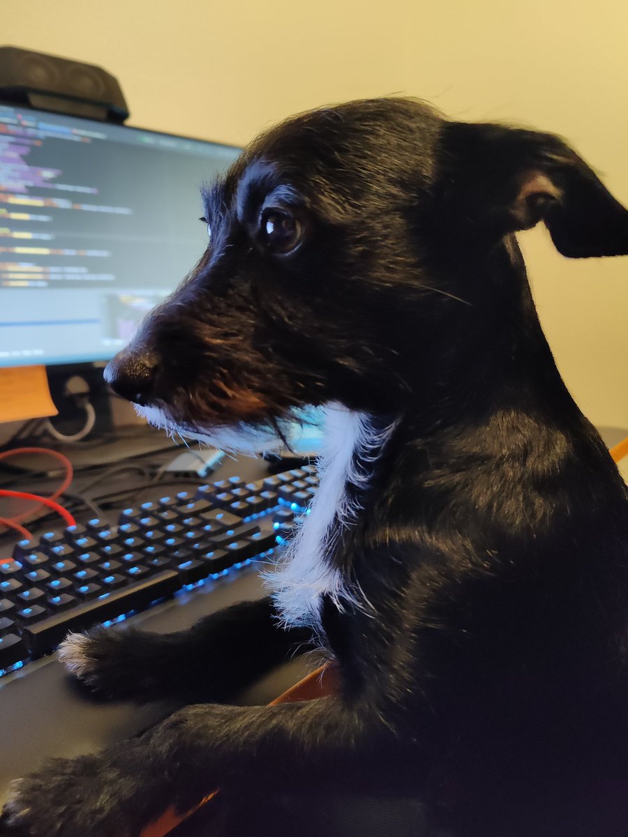 droid_lx's tweet image. She is learning to code in Haskell
