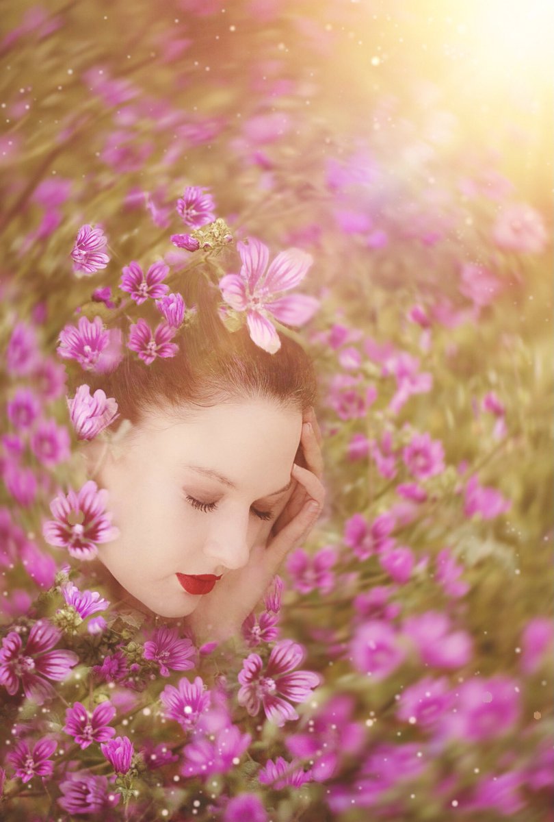 As the season turns from Spring to Summer enjoy the my first editions Beauty In Flowers 🌸🍃😊

🌸 Editions : 10/10
🌸 0.03 Eth 
🌸 <a href="/opensea/">OpenSea</a> 👇🏻

#NFTs #NFTCommunity #NatureBeauty #flowerlovers 

opensea.io/assets/ethereu…