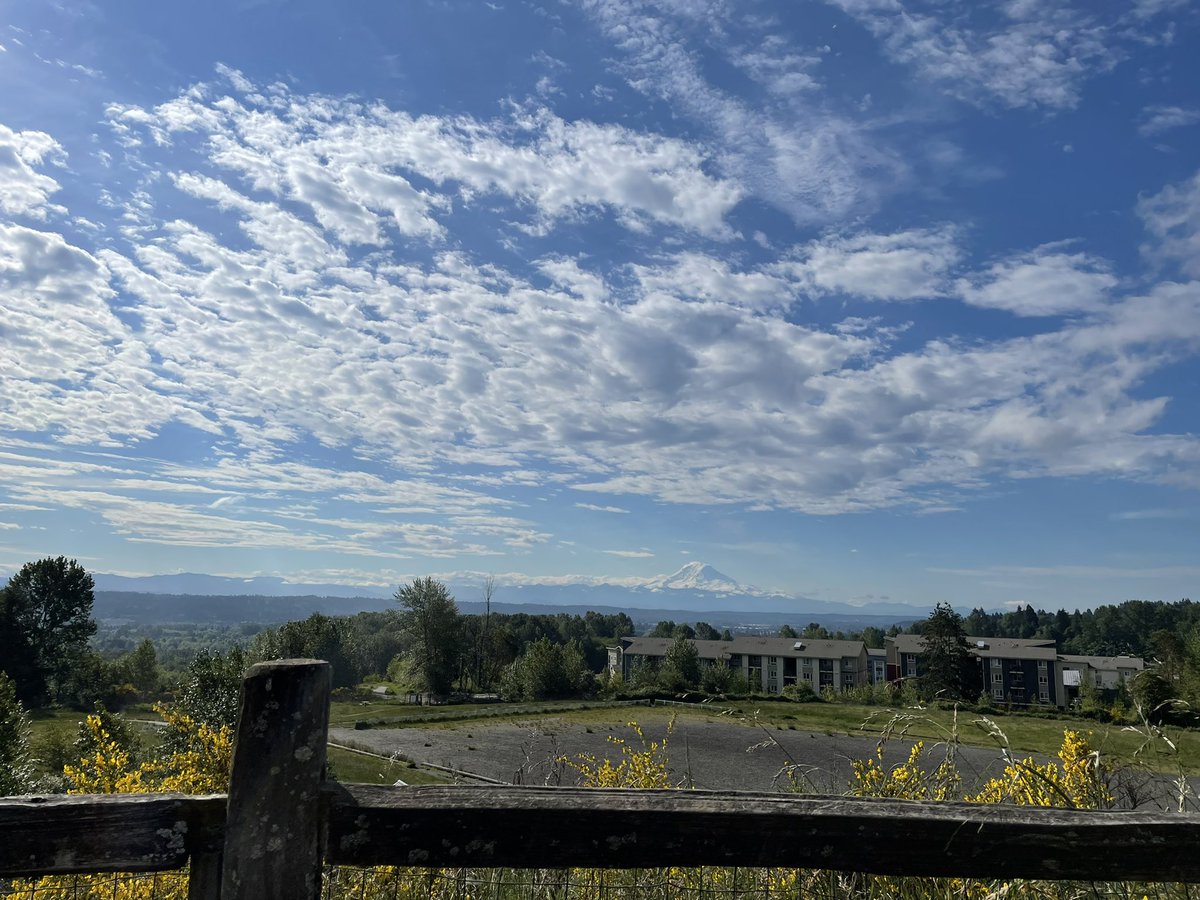 dewsarah's tweet photo. Popping on here to brighten your day with a Mt Rainier photo #tuesdayvibe #beautiful https://t.co/eI3VzBA4iG