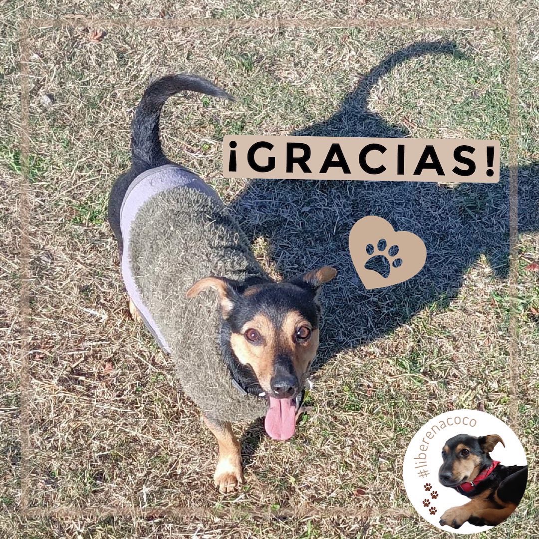 liberen_acoco's tweet photo. https://t.co/2boK1WwG07