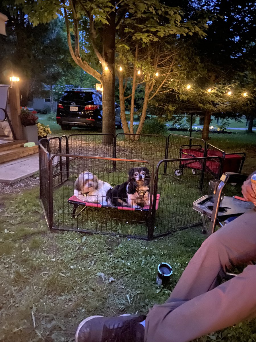 roamore's tweet photo. The boys enjoying a spring night at the trailer!  #turnerandgordie #saugeenriver https://t.co/cjFIjlNpBi