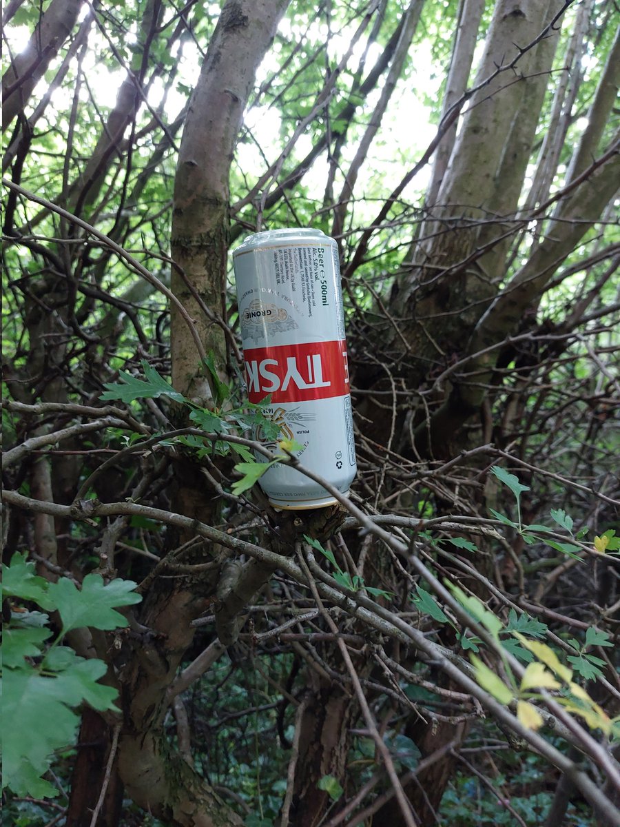 in_cans's tweet photo. Classic, Tyskie and a little bit of 'art' 9/10 https://t.co/Md2xaQEYkj