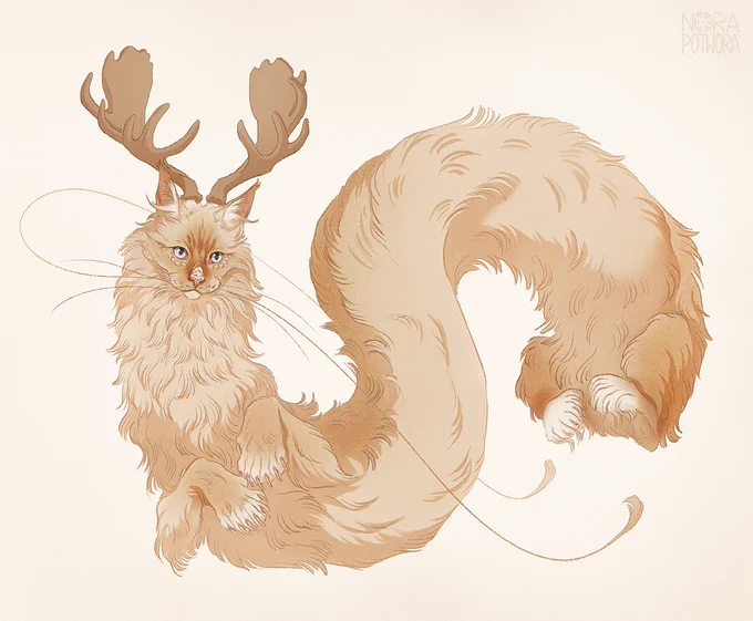 Here's Carl, a polydactyl noodle that has no tail! 