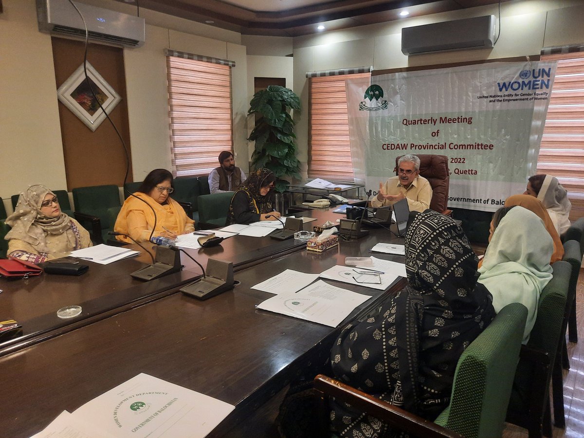 CEDAW Quaterly meeting held on 31st May 2022 under the chairmanship of Secretary, Women Development Department Dr Umer Khan Babar.