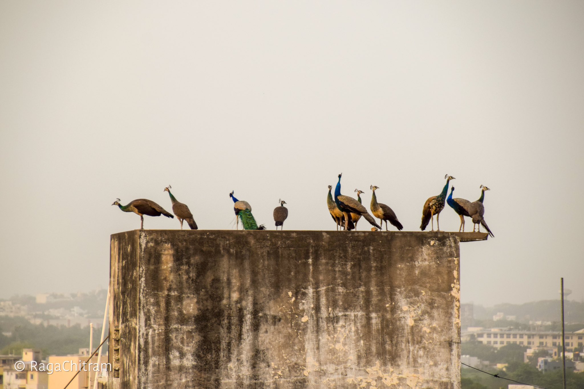 FUGANN0aQAEUB6E?format=jpg&name=large