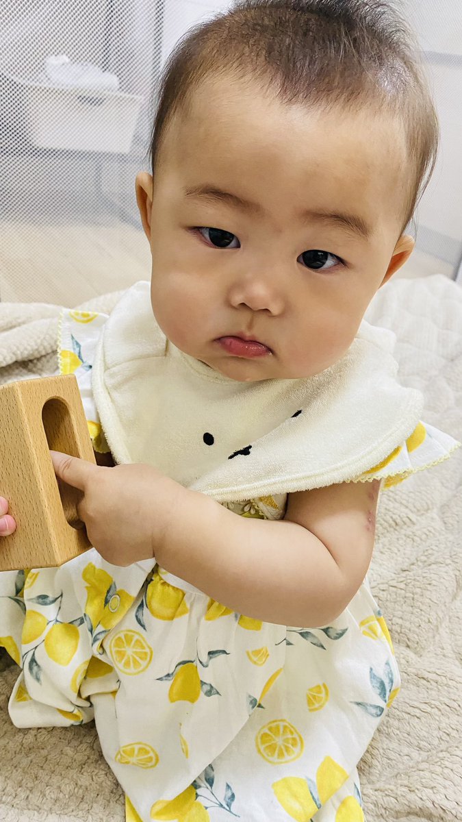 Choko_ku's tweet photo. 色んなことができるようになったし、どこでもつかまり立ちする( ^o^ )危なくて仕方ない〜！落ちてるものは拾って食べる😂❤️下の歯がにょきっと2本出てきたのが可愛いよ〜🫶🏻 https://t.co/2UsKQNdm7W