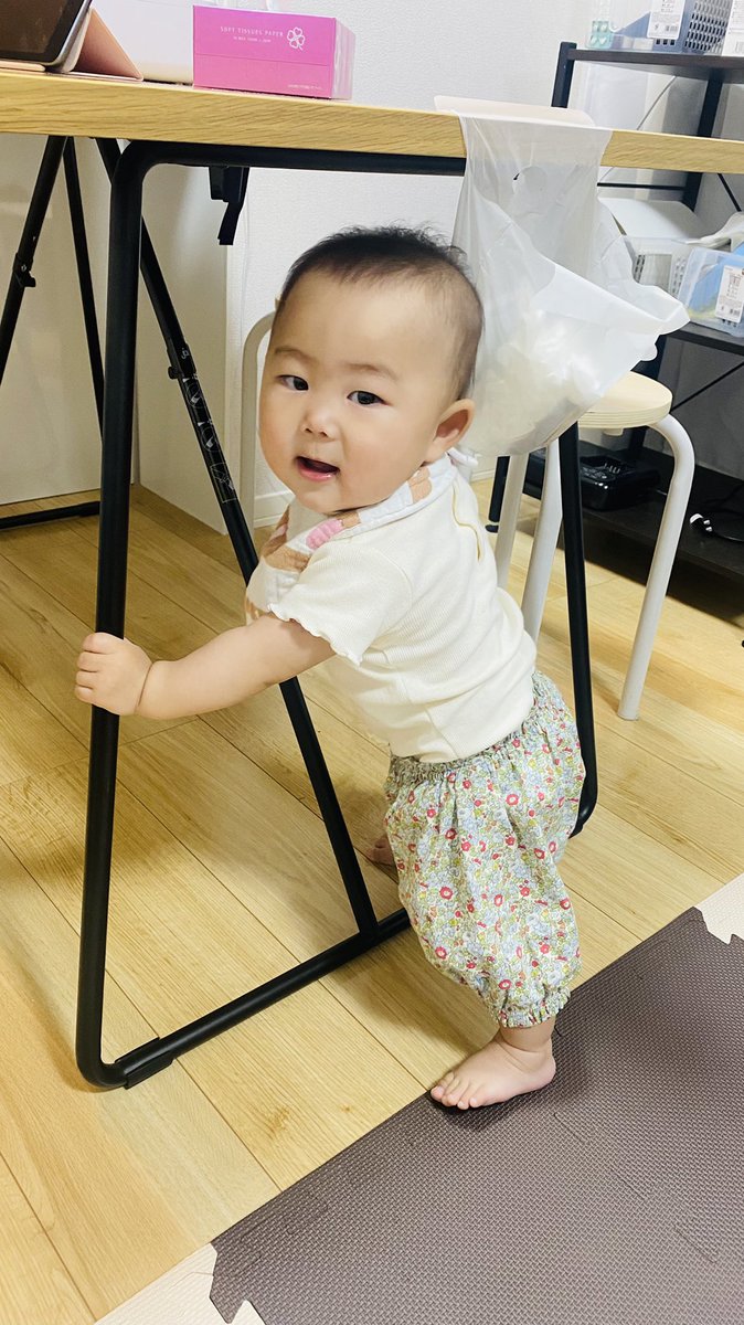 Choko_ku's tweet photo. 色んなことができるようになったし、どこでもつかまり立ちする( ^o^ )危なくて仕方ない〜！落ちてるものは拾って食べる😂❤️下の歯がにょきっと2本出てきたのが可愛いよ〜🫶🏻 https://t.co/2UsKQNdm7W