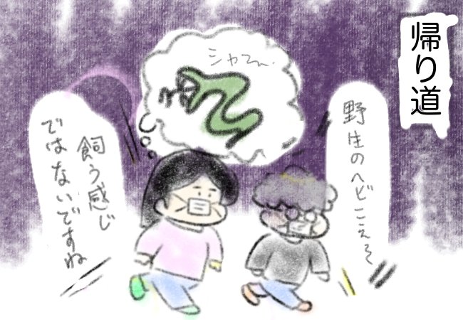 ①ヘビを見に行く前②ヘビ退治のワンシーン③帰り 
