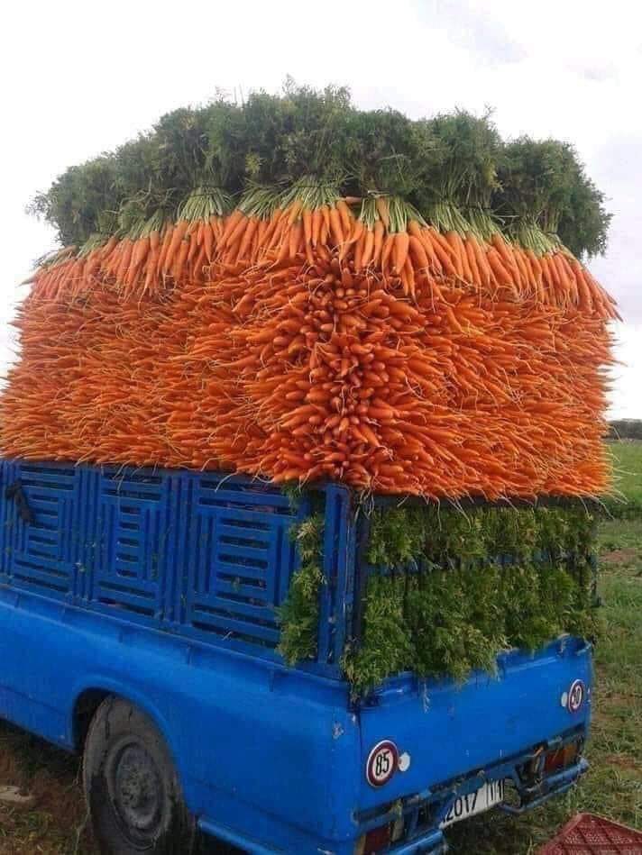 #Farming is an art that requires innovation and creativity! This pic worthy hundred words  <a href="/MpondaSabinus/">Mponda Sabinus</a>
