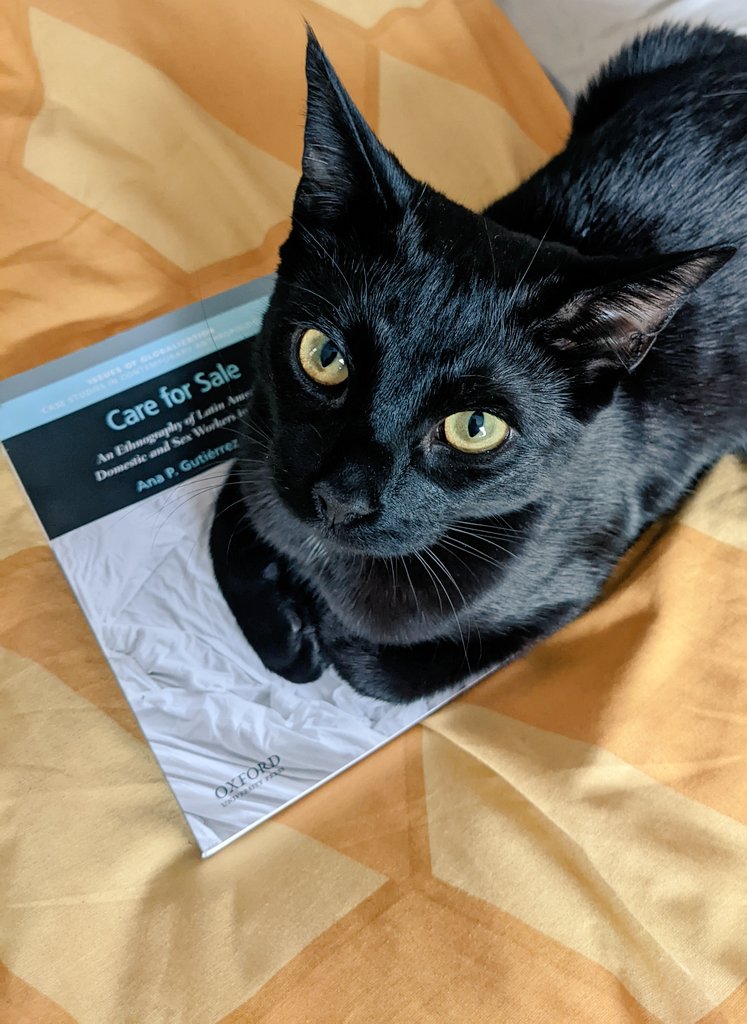 HarryRodgers_'s tweet photo. Silvio sits on every new book I get - today it's Care for Sale by @anapggarza . Looking forward to it! https://t.co/hJU1GFWXFT