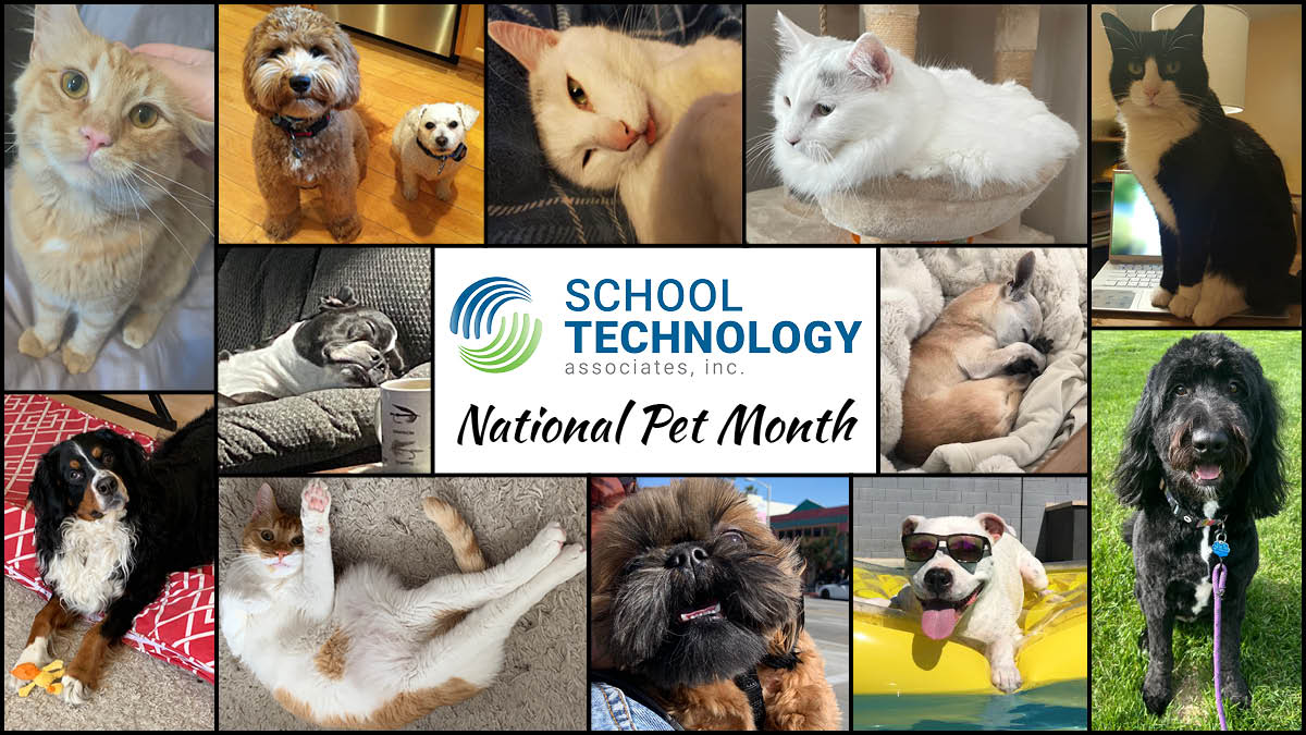 schooltechassoc's tweet photo. Shout out to the real MVPs of School Technology Associates on the last day of National Pet Month! We love our furry co-workers!
#nationalpetmonth https://t.co/F4Qhvv6WS4