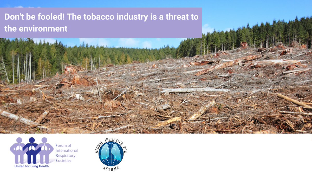 Today is #WorldNoTobaccoDay!
Read about the tobacco industry’s impact on environmental and lung health. ginasthma.org/world-no-tobac…
#NoTobacco #WNTD2022 #GINA #Asthma