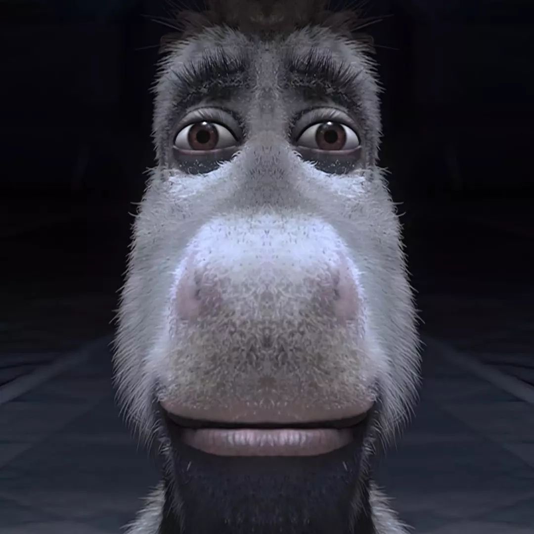 leevilbirdy tweet media