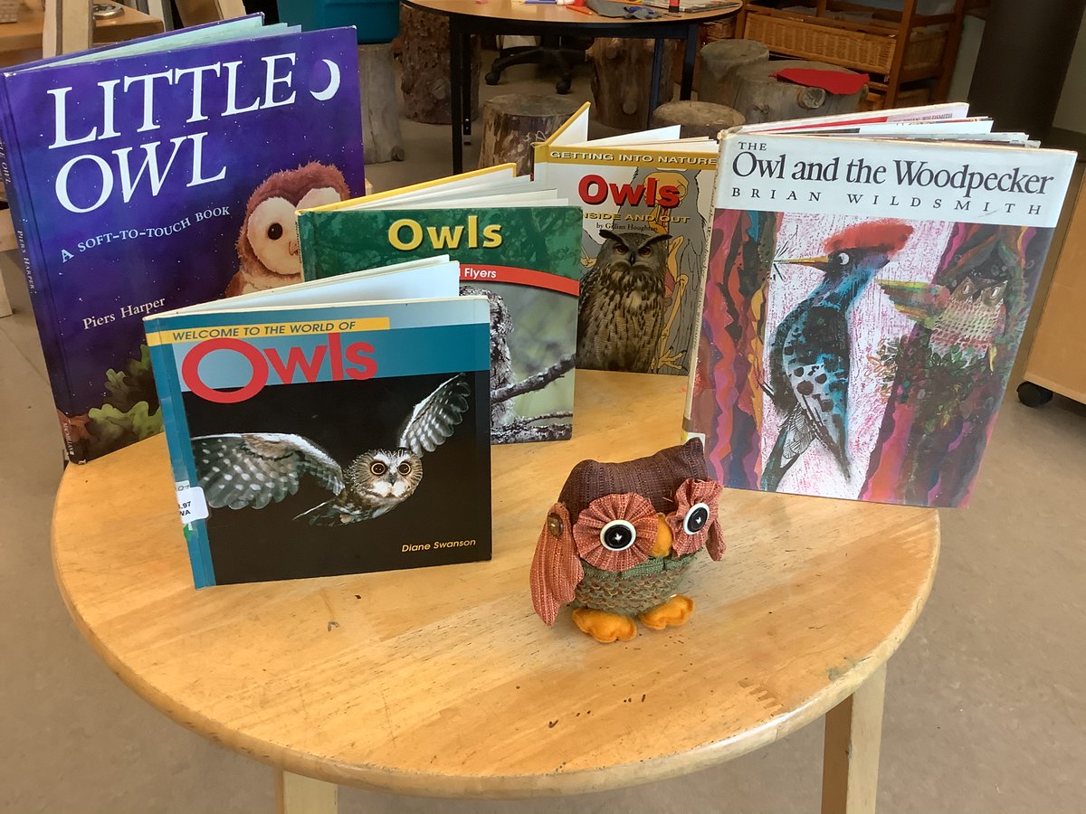 JBrentECE's tweet photo. The owl family living in our play yard tree has inspired us.
This #NaturalClassroom event has considering ‘nocturnal’ ‘shapes’ ‘types of owls’ ‘owl research’.
#EmergentInterest #ReflectiveProgram @DrDSuzukiSchool https://t.co/i5NwNzShhi