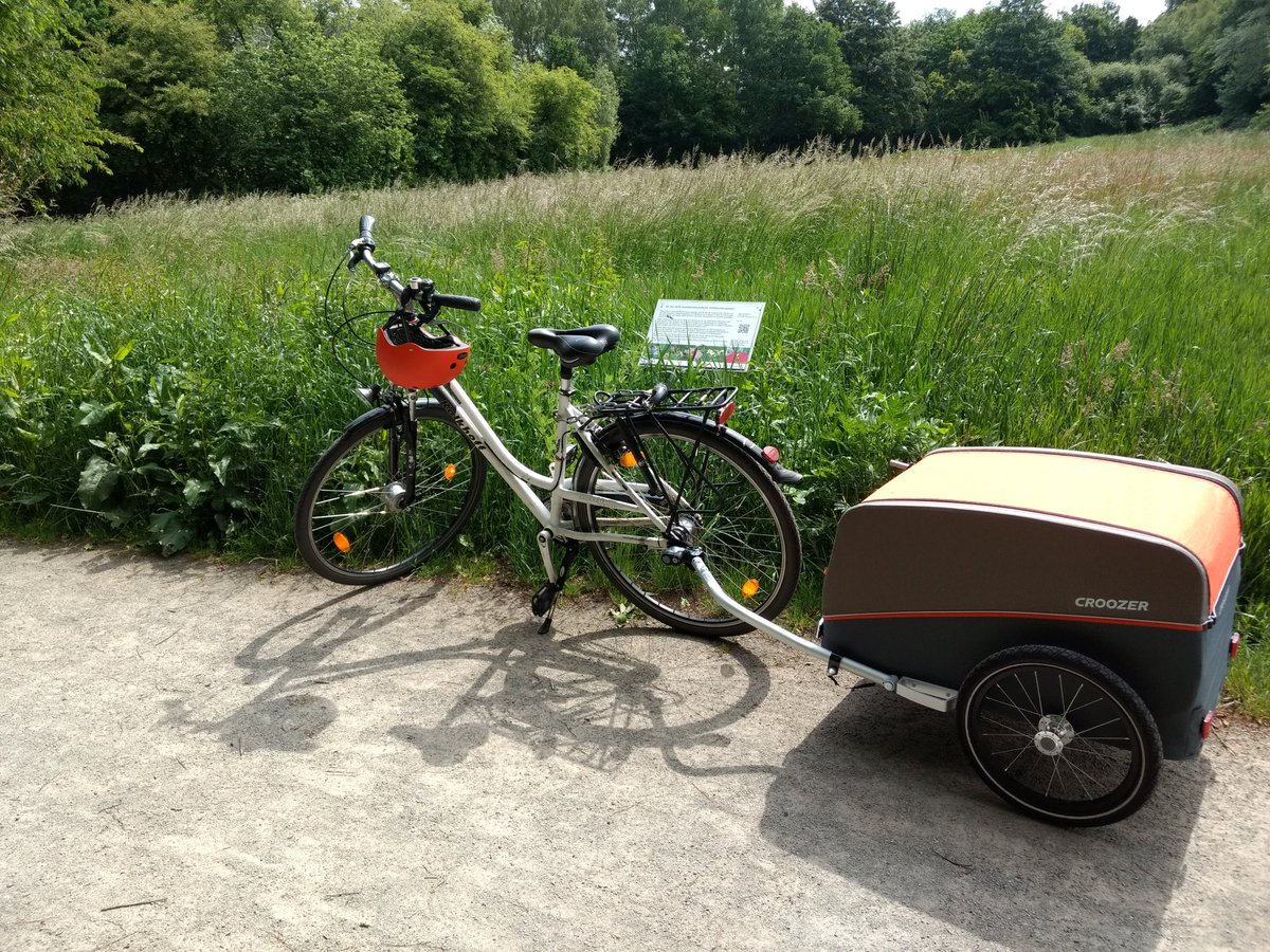 knauf_lea's tweet photo. I started my Master thesis at @AlbachLab @UniOldenburg two weeks ago. I'm investigating plant and insect diversity in artificially planted wildflower meadows  and compare them with more typical city meadows in Oldenburg.  🐝🦗🌼 So far, I cycled 135km for my field work. https://t.co/lVzcB2HviC
