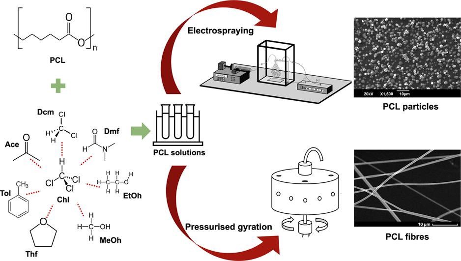 esraaltun_'s tweet photo. Very excited to share that our recent paper “The effect of solvent and pressure on polycaprolactone solutions for particle and fibre formation” has been published in European Polymer Journal.

Read the paper: https://t.co/u5s9VB2ZoS!

#research #phd #science https://t.co/FBnwp69jgO