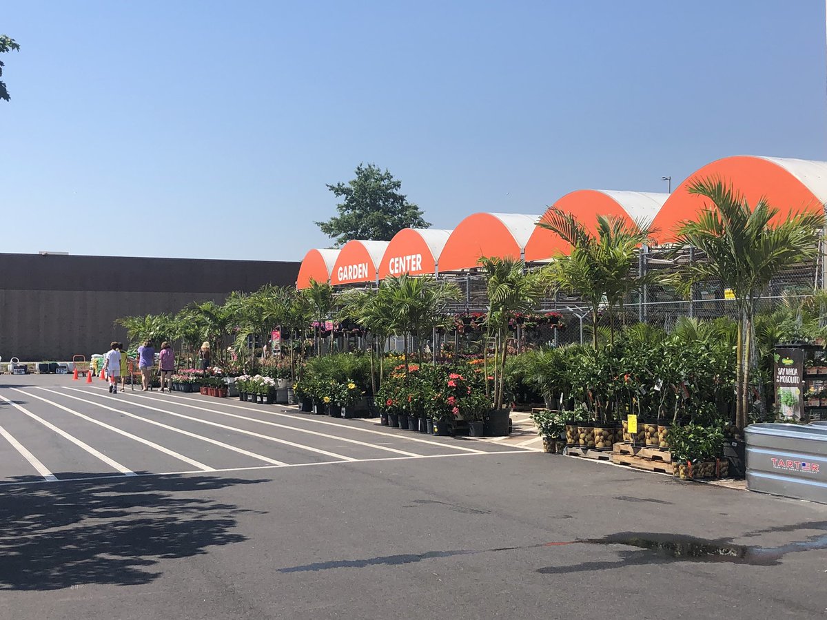 Dave Wilson tweet media