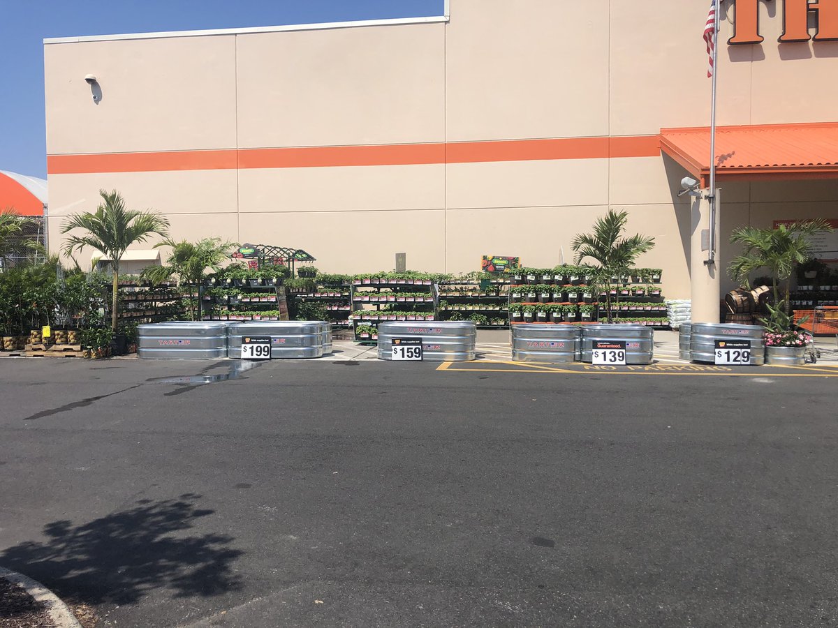 Dave Wilson tweet media