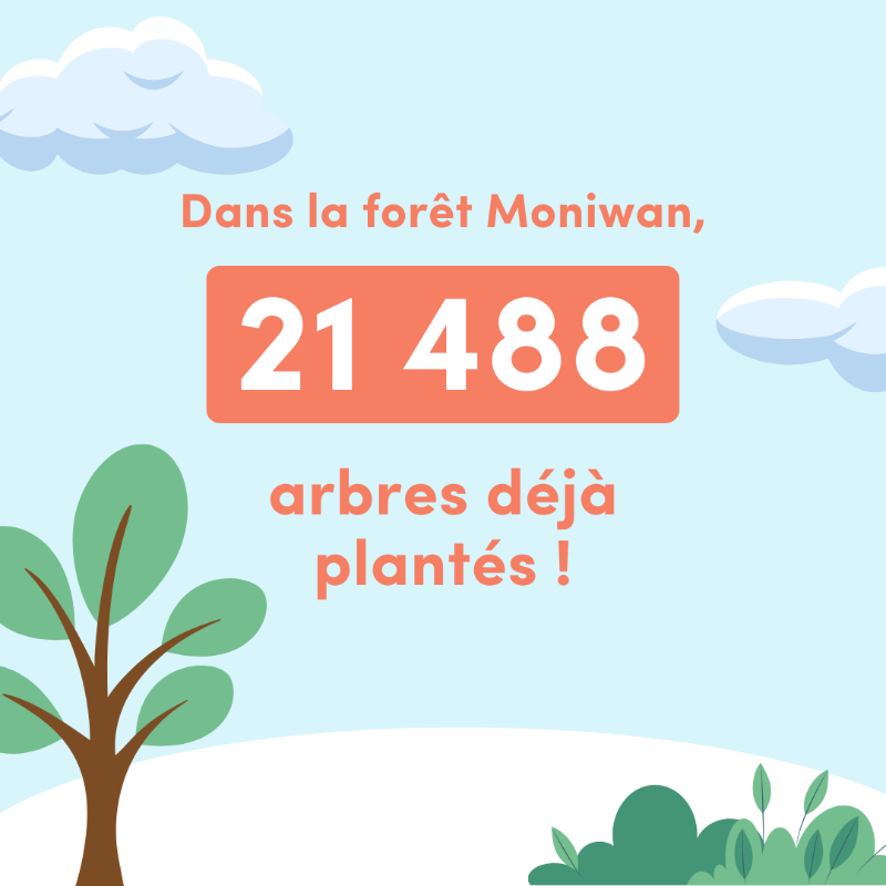 Moniwan_FR's tweet photo. #WorldEnvironmentDay 🌍 Moniwan s'engage en faveur du développement durable 🌱

Comment ? Grâce à notre partenariat avec @reforestaction, quand vous achetez des parts de #SCPI, 3 🌳 sont plantés pour compenser l’empreinte carbone de vos investissements 🍃 #journeedelenvironnement