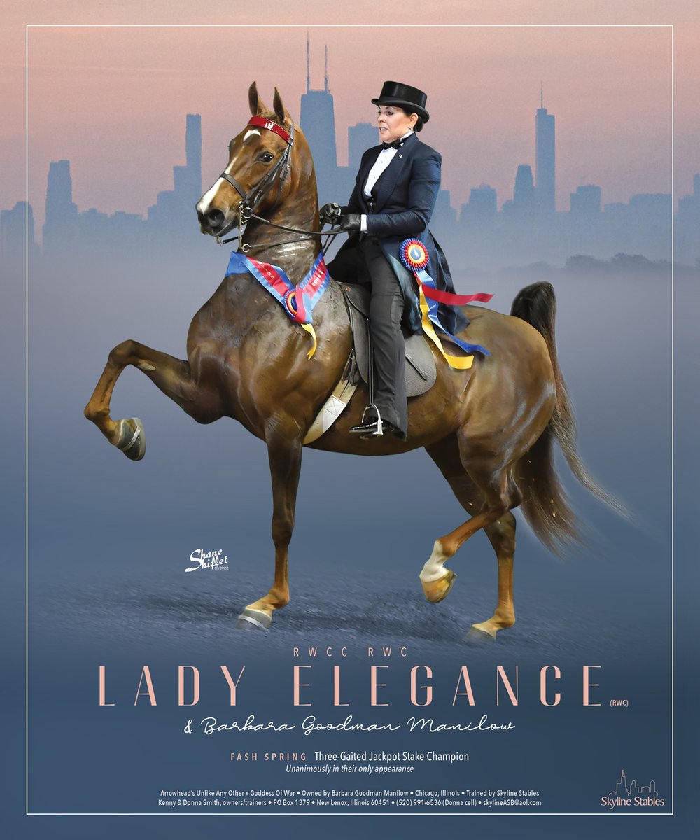 TNH1865's tweet photo. #nationalhorseman #fashspring #barbaragoodmanmanilow #skylinestables #3gaited #saddlebred https://t.co/dlfJJVfbnY