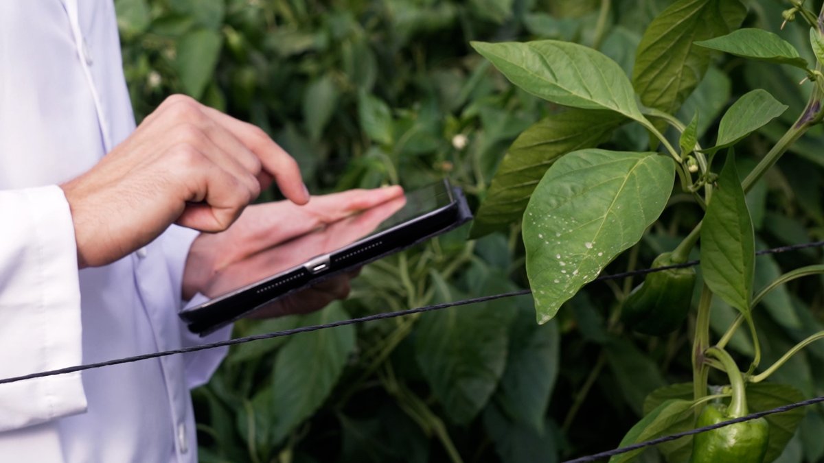 Échale un vistazo a la visión de Camille Bernal, directora de marketing y comunicación de Probelte, durante su última entrevista publicada en el medio La Verdad. 📰
bit.ly/3N5s7KC
#Probelte #sanidadvegetal #sectoragricola #agricultura #cultivos #innovación #biotecnologia