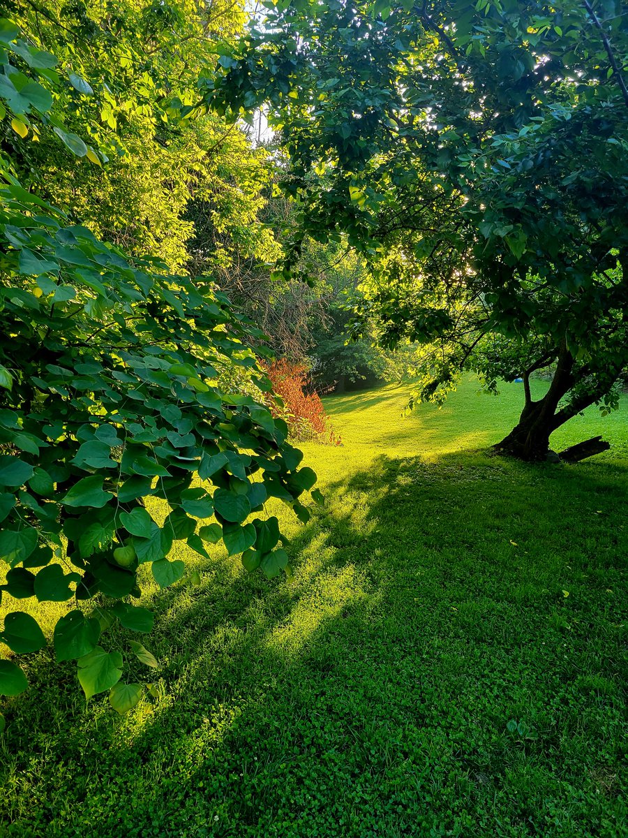 greggilliscom's tweet image. Walk-mmute: I've psyched myself out of going to the #gym, it's just so #beautifuloutside and no lurking #plague, looking forward to a short work week hope the same for you!