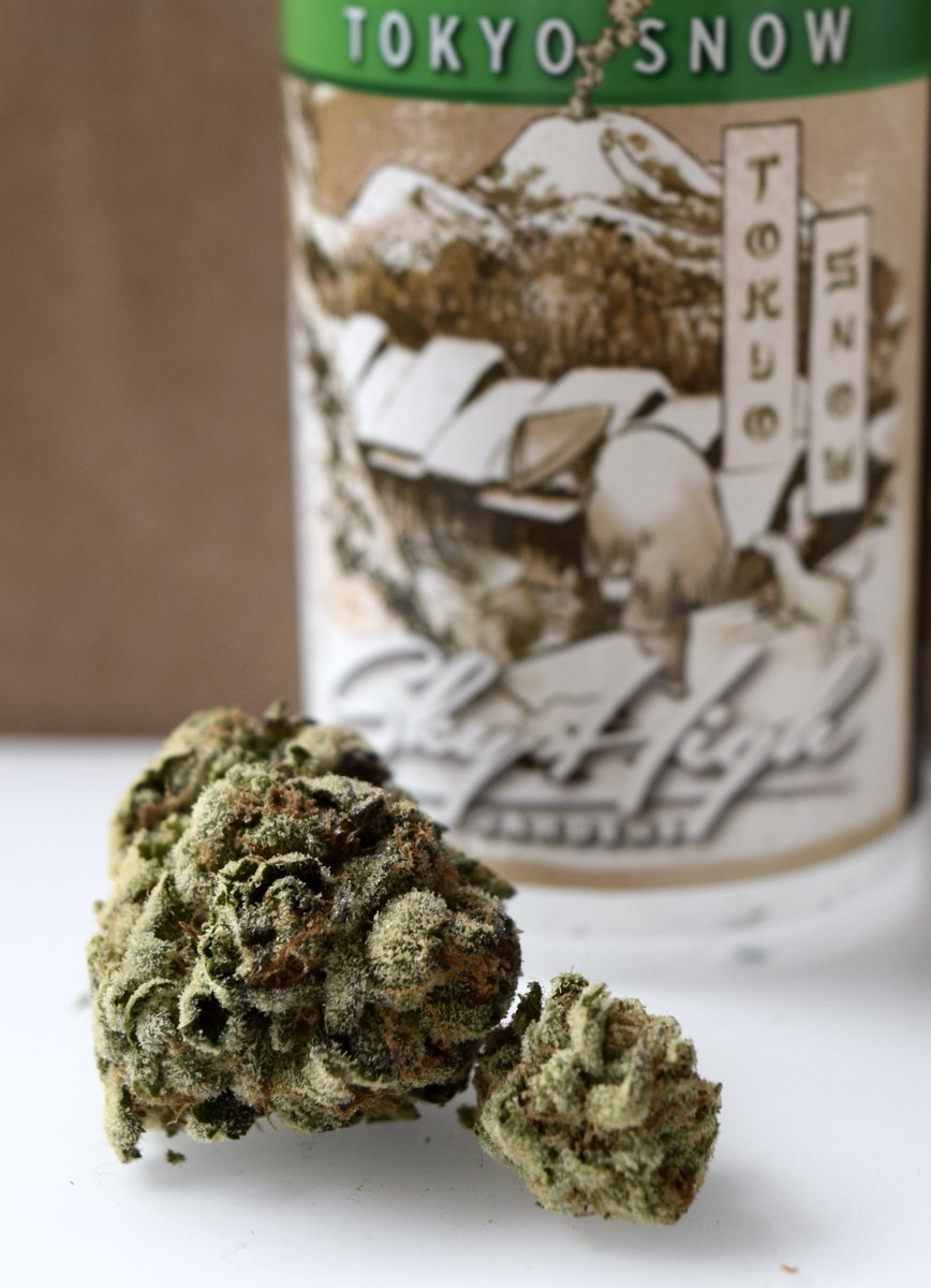 SeattleHashtag's tweet photo. Another Tuesday, another new week at Hashtag! We are loving this Tokyo Snow bud from Sky High Gardens.

Find @SkyHighGardens in our special collection this week. Available through Monday. 
.
#newweek #weeklycollection #tokyosnow #skyhighgardens #specialcollection #tuesdaytip https://t.co/SK1YlkiCQm
