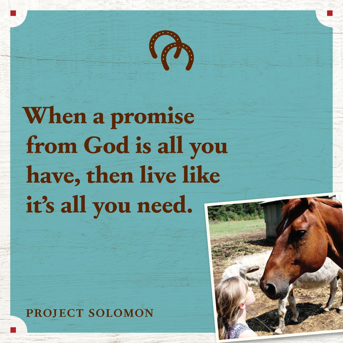 TyndaleHouse's tweet photo. 🐴 Project Solomon is a powerful story of resilience, sacrifice, and love that reminds us all how much we matter—to each other and to God. ✝️

Learn more about Project Solomon by Jodi Stuber and @jenbleakley:
https://t.co/d5QVaw4h4C https://t.co/yL7a4B5gdV