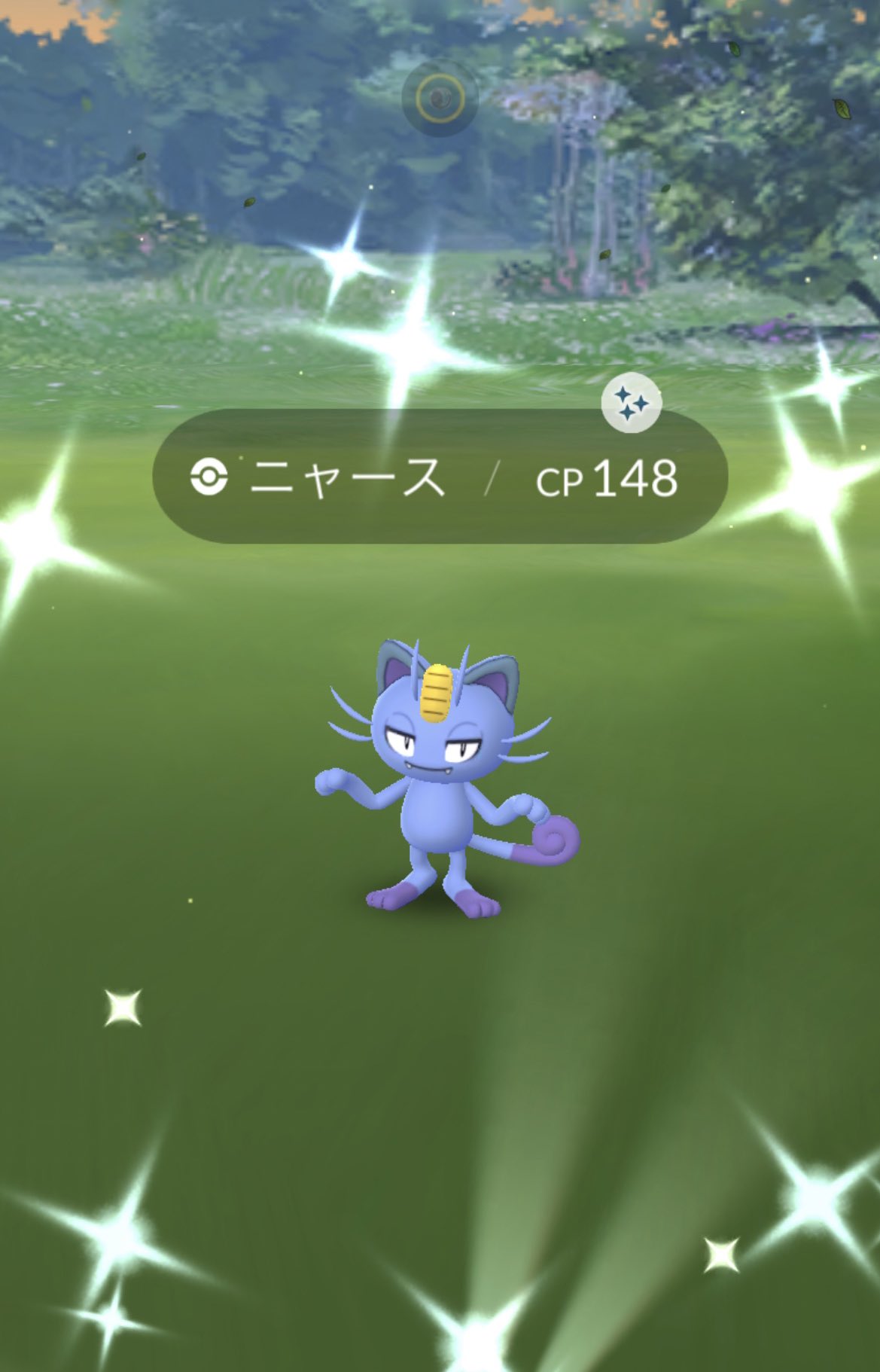 تويتر 𝑅 على تويتر ポケモンgo アローラ ニャース 色違い T Co Uumuwmgi45