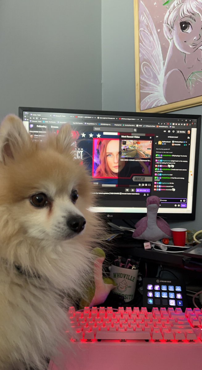 StephDotted's tweet photo. Um … returned to Camp Viic and she’s watching us … Rocky decided to join too @InviictaXx #streamcamping #twitchstreamer #campviic https://t.co/Qahet4apbh