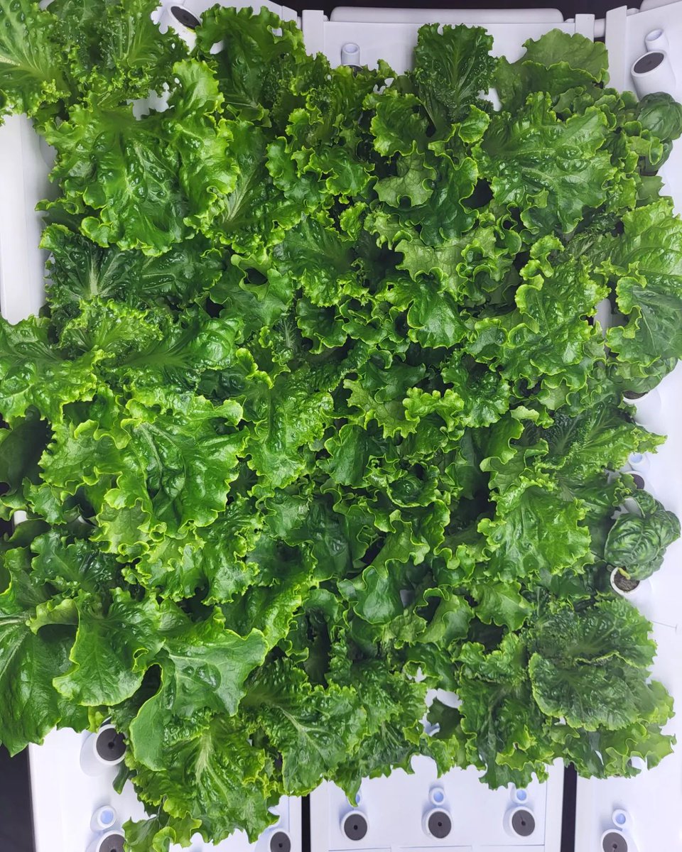 Millville Public Library tweet media