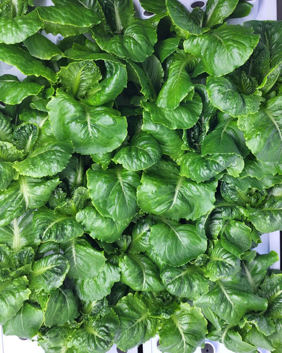 Millville Public Library tweet media