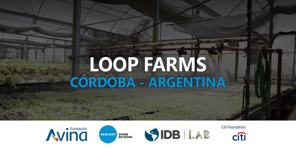 FundacionAVINA's tweet photo. #LOOPFARMS genera producción hidropónica de alimentos y biogás con desechos orgánicos para la fabricación #sustentable de alimentos. Busca auto suficiencia y una alimentación más saludable con menor huella hídrica y de carbono.
✈️Más: https://t.co/SkIyz4vBUH
#CiudadesResilientes. https://t.co/ITF9QwKojN