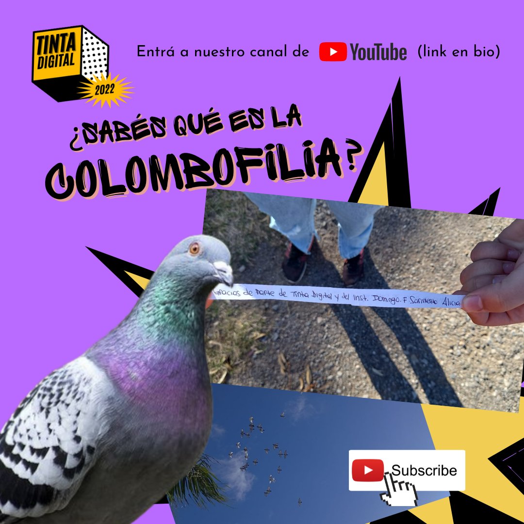 ¿Leíste la revista? En ella hay un artículo sobre éste tipo de crianza de palomas. Te invitamos a ver la nota que acompañó la escritura del artículo!
Ingresa al link youtube.com/watch?v=tqGkUU…