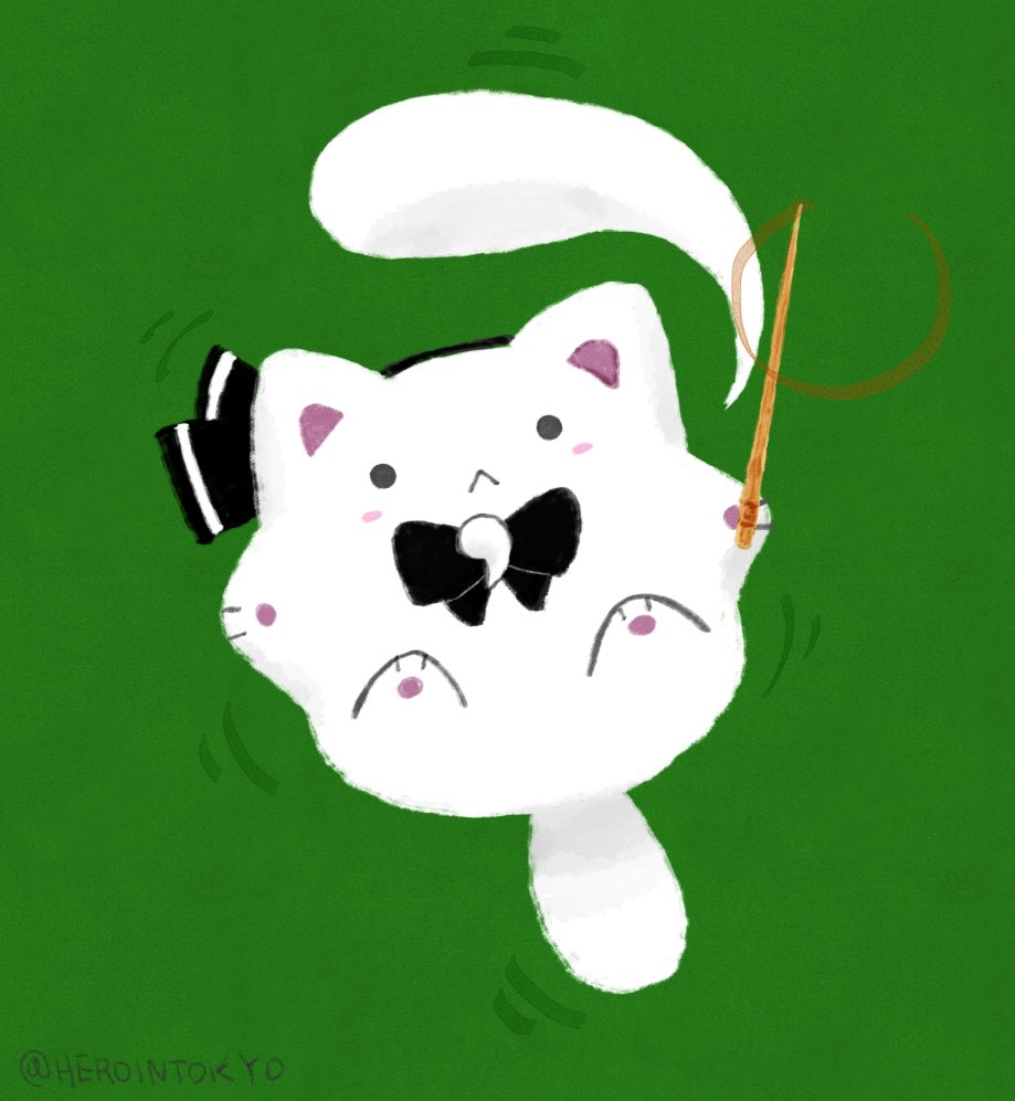 myon cat