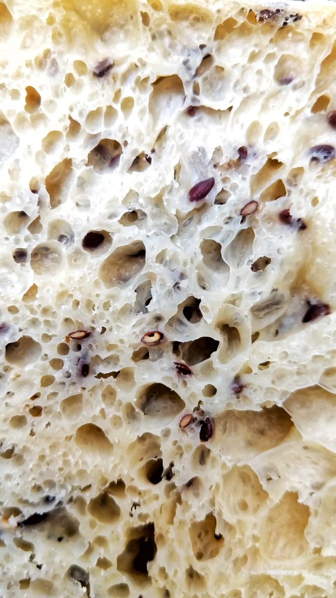delhifoodiesDFZ's tweet photo. #Crumb on my homebaked #seeded #ciabatta #italianbreads https://t.co/VxBGF62KQO