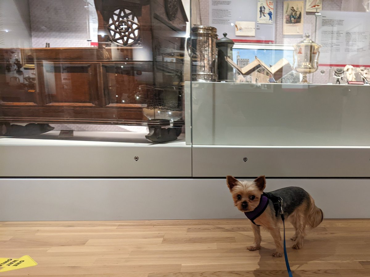nhertsmuseum's tweet photo. We had a small visitor today at the museum. Her name is Ciko and she popped in to have a sniff of the displays.
Dogs are welcome in the museum as long as they are very well behaved and on a lead.
#dogsinmuseums #hitchin https://t.co/O3LXaM2I7r