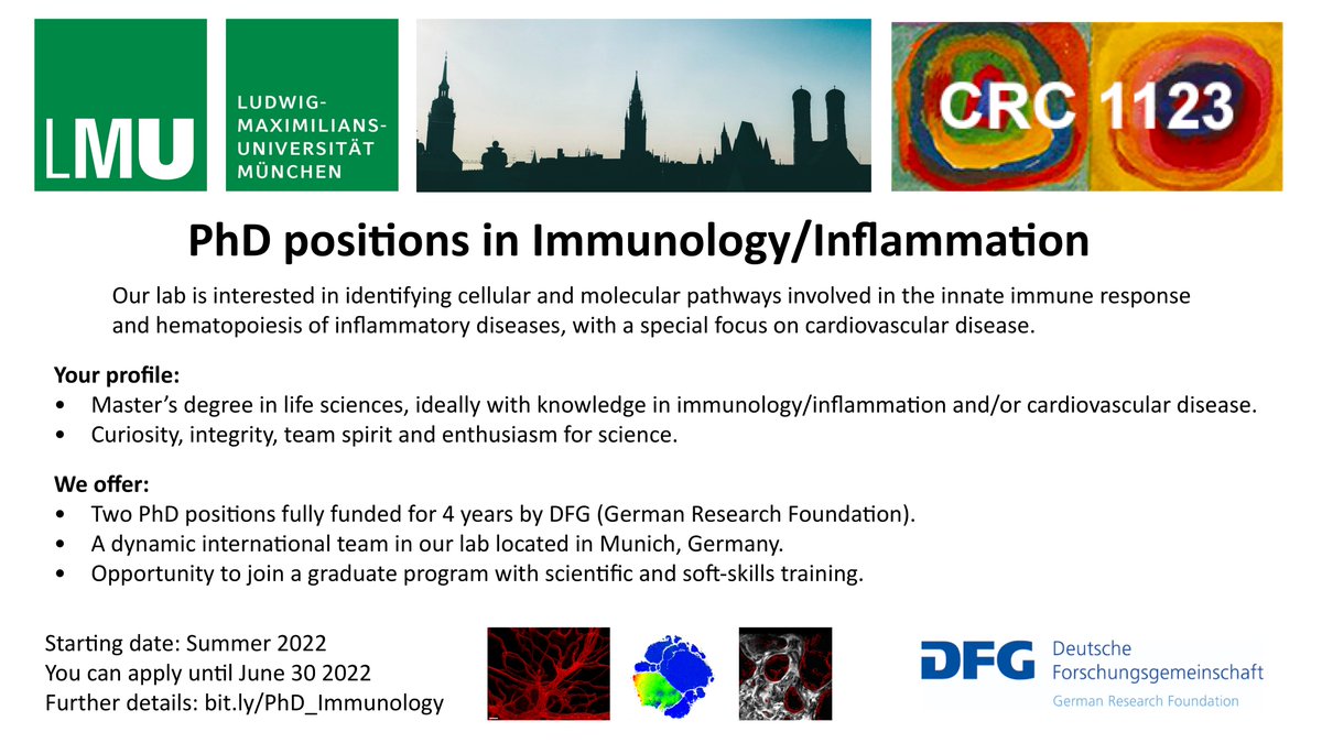 We are offering 2 PhD Positions in Immunology/Inflammation at 
<a href="/LMU_Muenchen/">Universität München</a>
 in Munich, Germany.

Further details: bit.ly/PhD_Immunology

#PhDposition #Immunology #inflammation 
<a href="/ipekresearch/">IPEK</a>
 
<a href="/CRC1123_Athero/">CRC1123: Mechanisms of Atherosclerosis</a>
 
<a href="/dfg_public/">DFG public | @dfg_public@wisskomm.social</a>