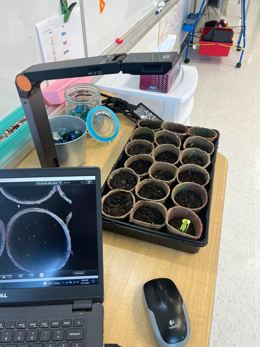 Jayme Walsh tweet media