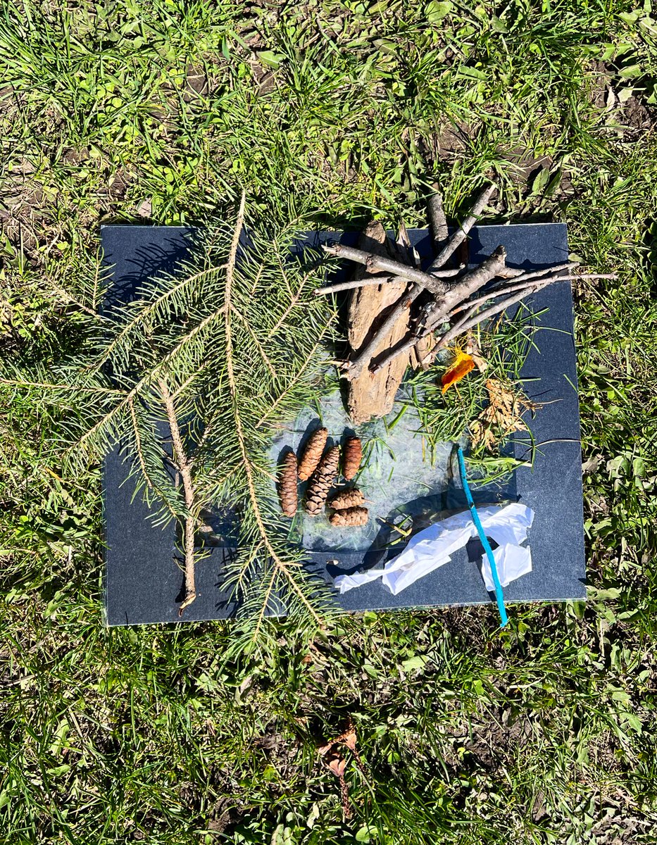 Jayme Walsh tweet media