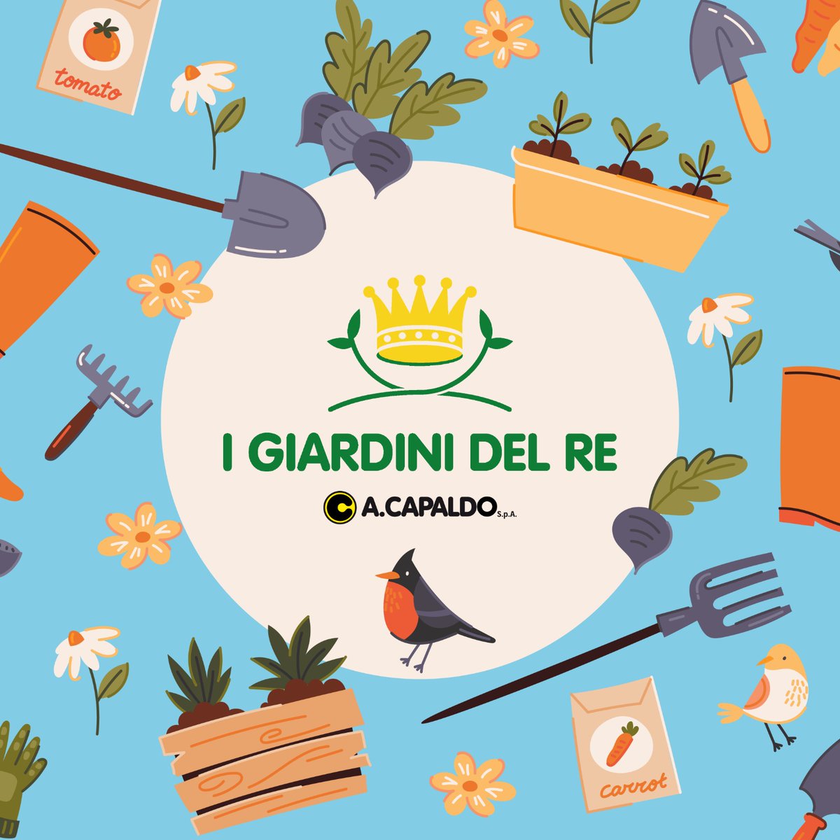 CapaldoSpa's tweet photo. @tweet https://t.co/8fuP3SonbB