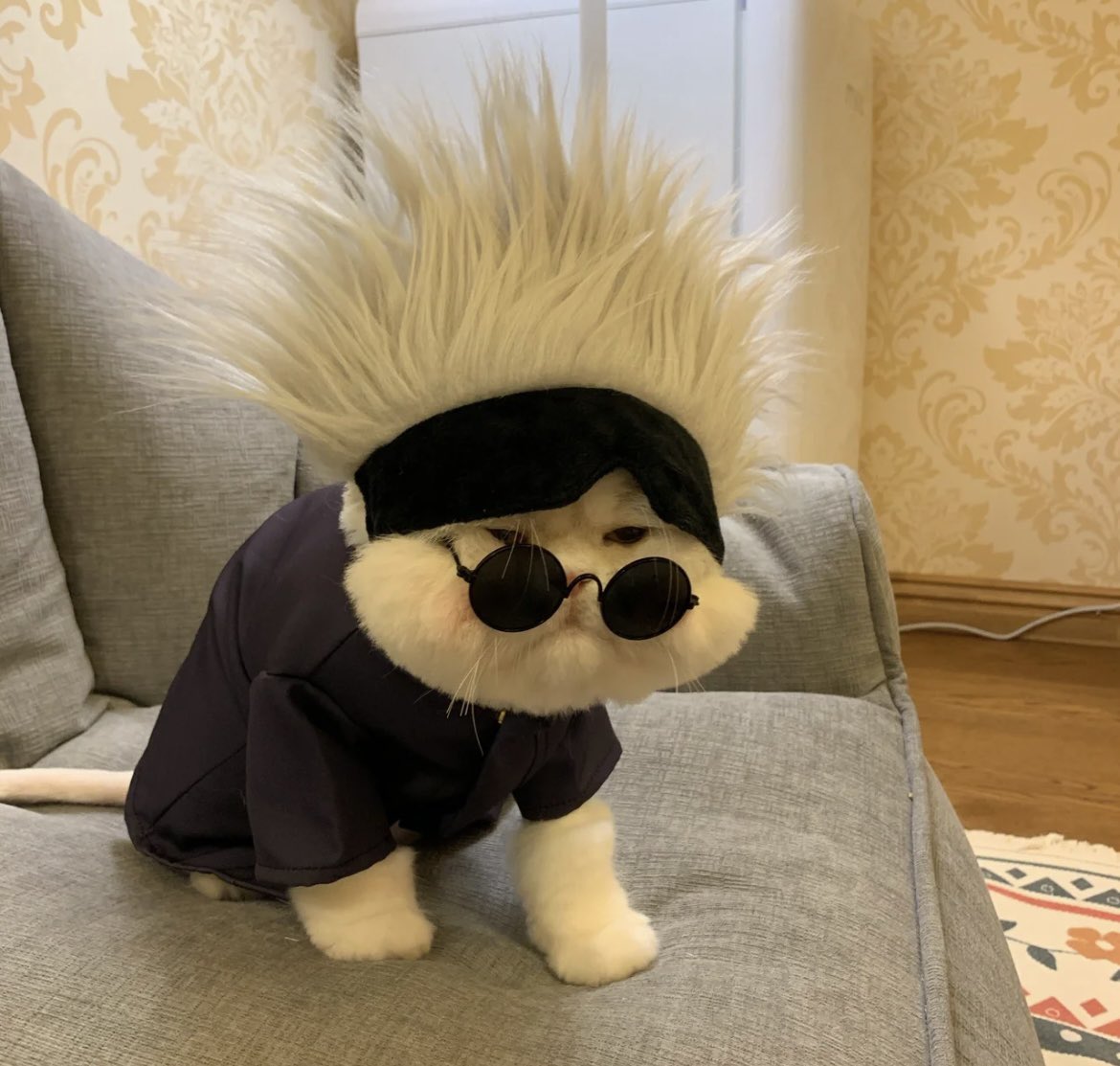 CAT4union's tweet photo. Cosplay #cat #cats #CatsOfTwitter #catlover #catslovers #CatsOnTwitter #fluffy #fluffycat #cute #meow #猫 #猫のいるくらし #猫との生活 #猫咪社区 https://t.co/sGZiC0wLrt