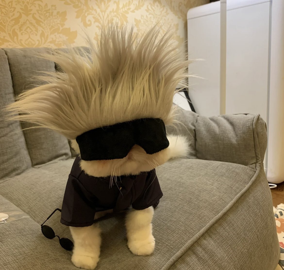 CAT4union's tweet photo. Cosplay #cat #cats #CatsOfTwitter #catlover #catslovers #CatsOnTwitter #fluffy #fluffycat #cute #meow #猫 #猫のいるくらし #猫との生活 #猫咪社区 https://t.co/sGZiC0wLrt